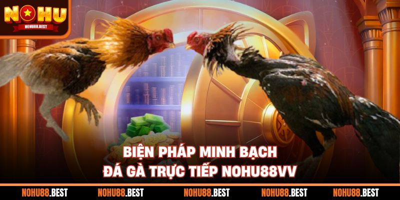 Biện pháp minh bạch đá gà trực tiếp Nohu88