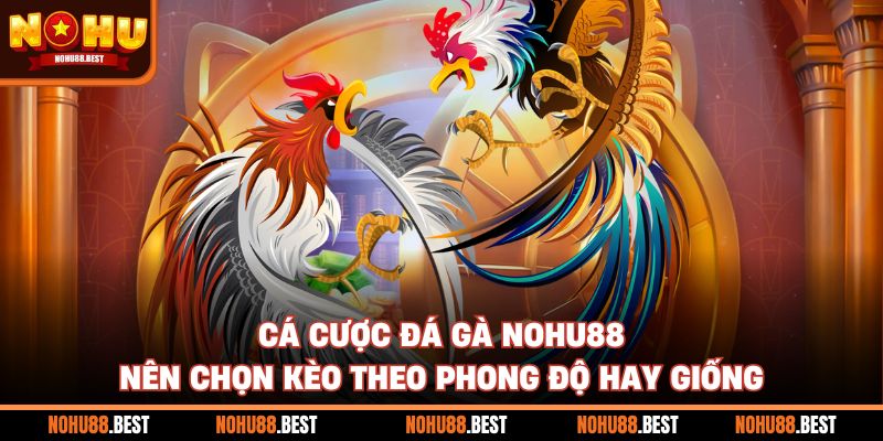 Cá Cược Đá Gà Nohu88 Nên Chọn Kèo Theo Phong Độ Hay Giống