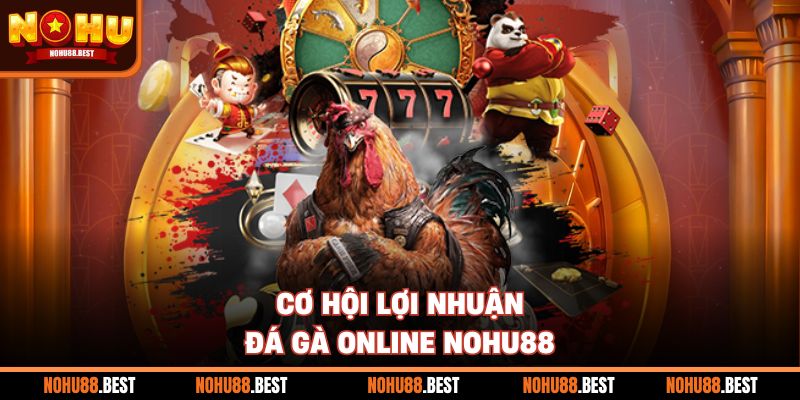 Cơ hội lợi nhuận đá gà online Nohu88