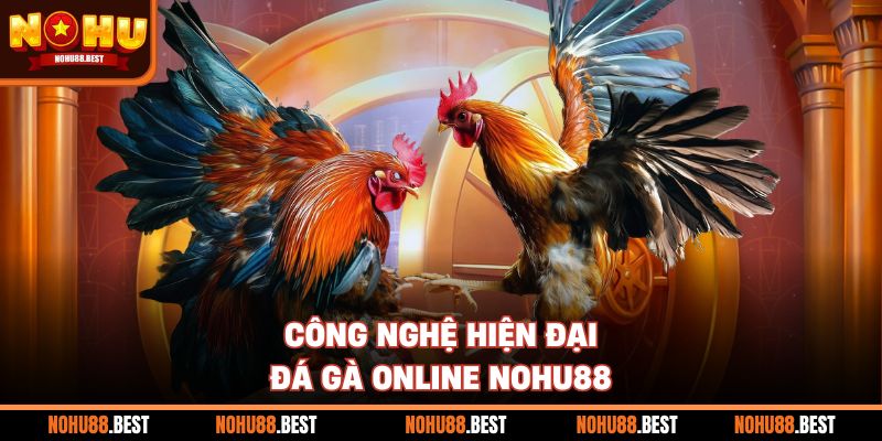 Công nghệ hiện đại đá gà online Nohu88