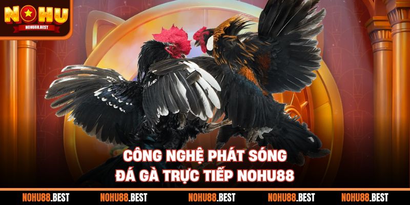 Công nghệ phát sóng đá gà trực tiếp Nohu88