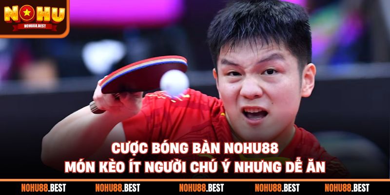 Cược Bóng Bàn Nohu88 Món Kèo Ít Người Chú Ý Nhưng Dễ Ăn