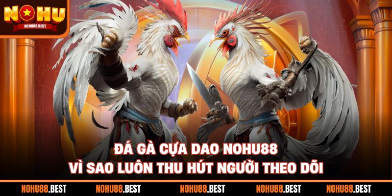 Đá Gà Cựa Dao Nohu88 Vì Sao Luôn Thu Hút Người Theo Dõi