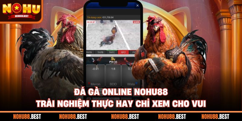 Đá Gà Online Nohu88 Trải Nghiệm Thực Hay Chỉ Xem Cho Vui
