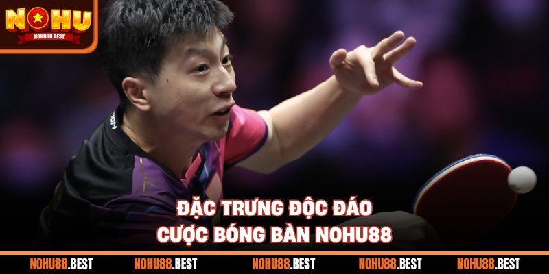 Đặc trưng độc đáo cược bóng bàn Nohu88