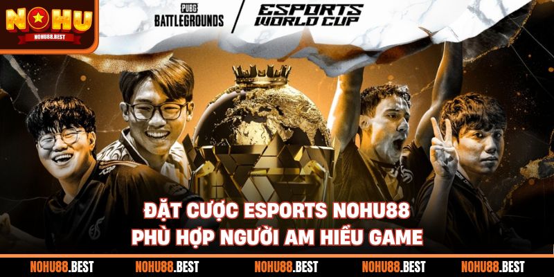 Đặt Cược Esports Nohu88 Phù Hợp Người Am Hiểu Game