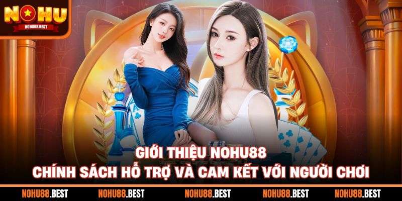 Giới thiệu Nohu88 chính sách hỗ trợ và cam kết với người chơi
