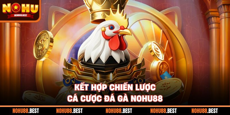 Kết hợp chiến lược cá cược đá gà Nohu88