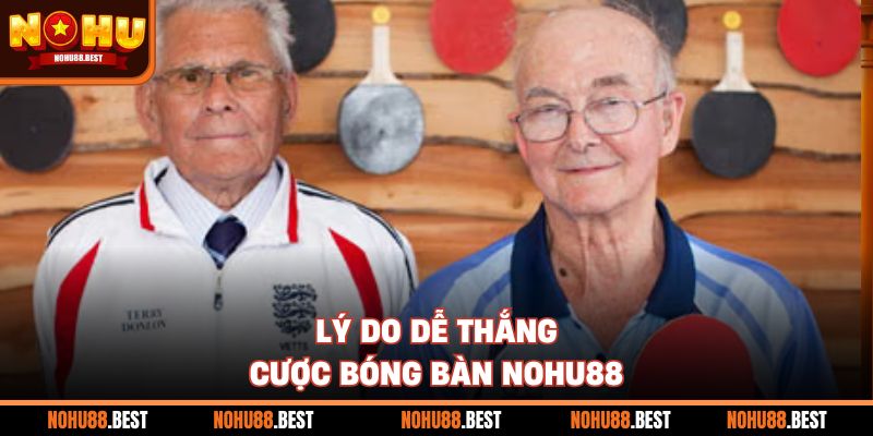 Lý do dễ thắng cược bóng bàn Nohu88
