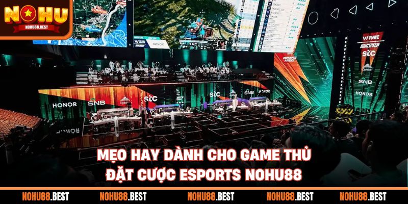 Mẹo hay dành cho game thủ đặt cược esports Nohu88