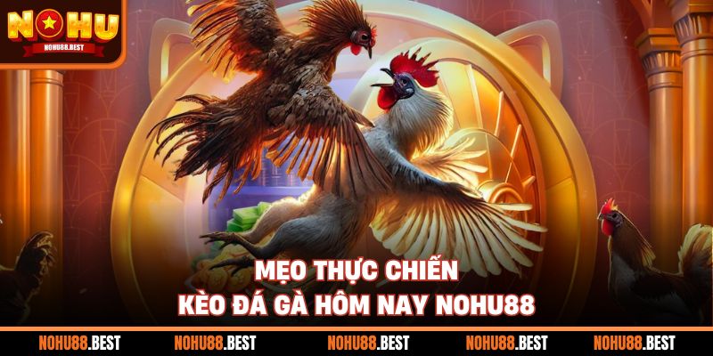 Mẹo thực chiến kèo đá gà hôm nay Nohu88