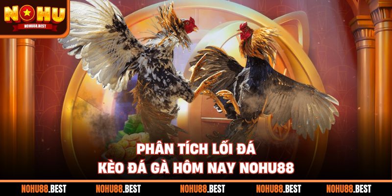 Phân tích lối đá kèo đá gà hôm nay Nohu88