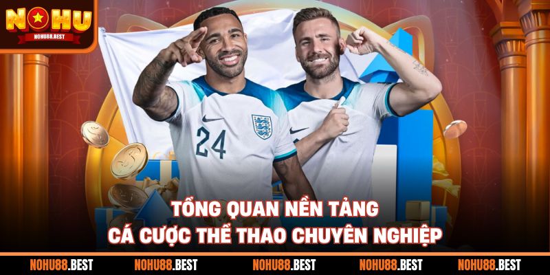 Tổng quan nền tảng cá cược thể thao chuyên nghiệp