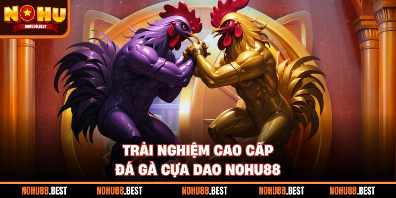 Trải nghiệm cao cấp đá gà cựa dao Nohu88