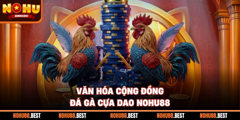 Văn hóa cộng đồng đá gà cựa dao Nohu88